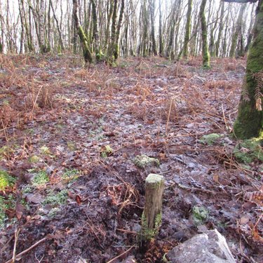Terrains de loisirs bois etangs a vendre Saint-Vigor-des-Monts 50420 Manche 10923 m2  7800 euros