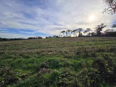 Terrain a batir a vendre Caro 56140 Morbihan 8460 m2  37400 euros