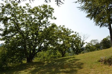 Maison a vendre Joannas 07110 Ardèche 77 m2 4 pièces 215000 euros