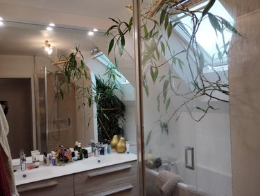 Maison a vendre Montigné-le-Brillant 53970 Mayenne 122 m2  230560 euros