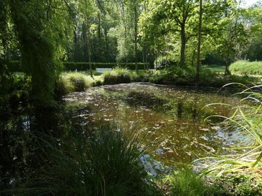 Maison a vendre Morlaix 29600 Finistère 105 m2 4 pièces 251040 euros