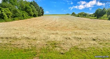 Terrain a batir a vendre Cagnoncles 59161 Nord 2105 m2  65900 euros