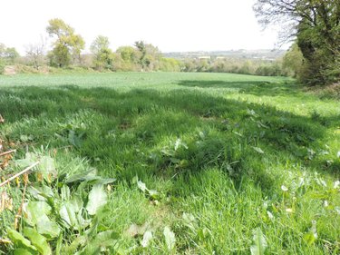 Maison a vendre Callac 22160 Côtes-d'Armor 125 m2 7 pièces 288900 euros