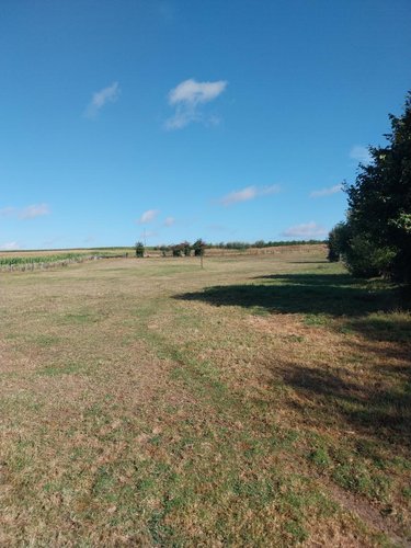 Maison a vendre Frévin-Capelle 62690 Pas-de-Calais 118 m2 8 pièces 226000 euros
