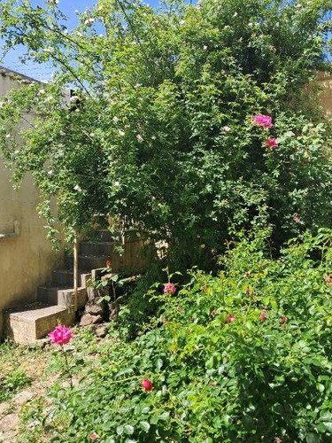 Maison a vendre Wimille 62126 Pas-de-Calais 87 m2 4 pièces 132500 euros