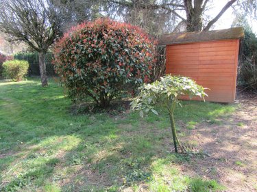 Location maison Paucourt 45200 Loiret 119 m2 4 pièces 970 euros