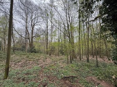 Divers a vendre Fumichon 14590 Calvados 17939 m2  19500 euros