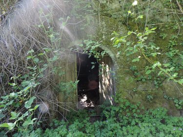 Maison a vendre La Chapelle-Neuve 22160 Côtes-d'Armor 39 m2  37700 euros