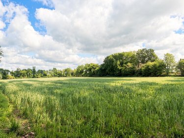 Terrain a batir a vendre Pleyber-Christ 29410 Finistère 7627 m2  105400 euros