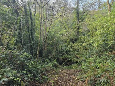 Terrains de loisirs bois etangs a vendre Rosporden 29140 Finistère 226898 m2  128000 euros