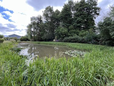 Terrains de loisirs bois etangs a vendre Volnay 72440 Sarthe 3137 m2  79500 euros
