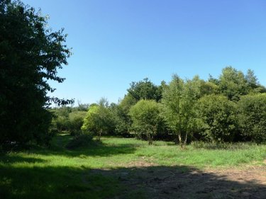 Terrains de loisirs bois etangs a vendre Cléguérec 56480 Morbihan 16640 m2  15990 euros