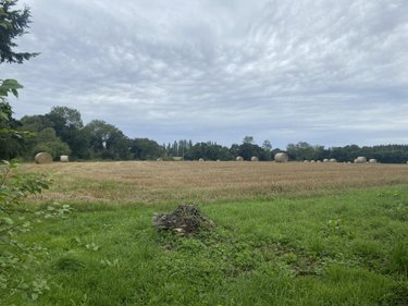 Maison a vendre Ploëzal 22260 Côtes-d'Armor 128 m2 4 pièces 252000 euros