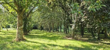 Immeuble a vendre Tréméoc 29120 Finistère 150 m2  367500 euros