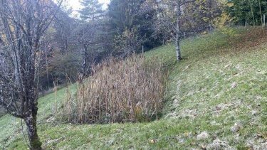 Maison a vendre Montanges 01200 Ain 217 m2  395000 euros