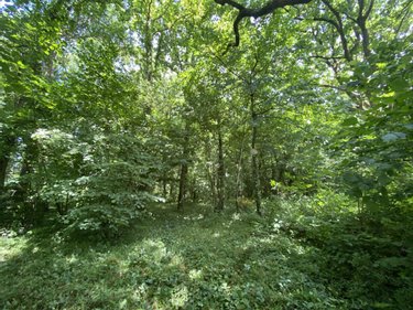 Terrains de loisirs bois etangs a vendre Venansault 85190 Vendée 8909 m2  8800 euros