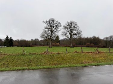 Terrains de loisirs bois etangs a vendre Saint-Aubin-des-Bois 14380 Calvados 76778 m2  82715 euros