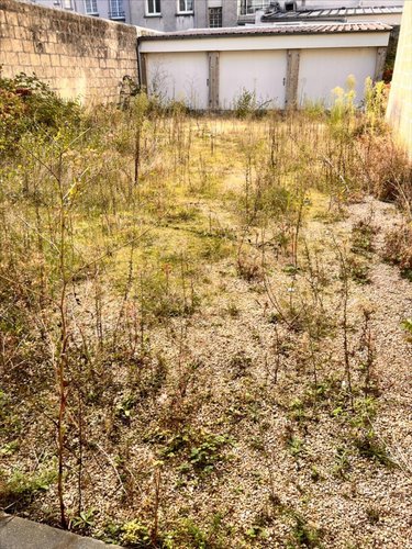 Immeuble a vendre Brest 29200 Finistère 1 m2  540800 euros