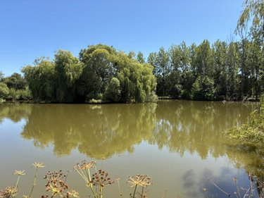 Terrains de loisirs bois etangs a vendre La Bazouge-des-Alleux 53470 Mayenne 45728 m2  120500 euros