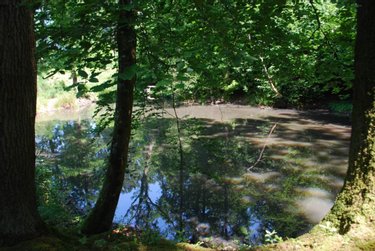 Maison a vendre Varengeville-sur-Mer 76119 Seine-Maritime 537 m2 14 pièces 1500000 euros