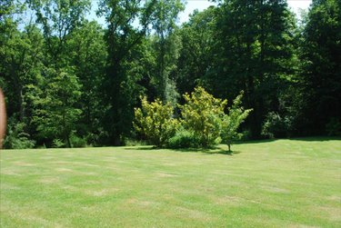 Maison a vendre Varengeville-sur-Mer 76119 Seine-Maritime 537 m2 14 pièces 1500000 euros