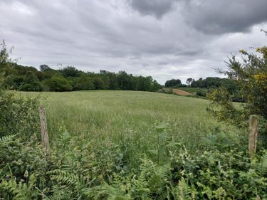 Maison a vendre Languidic 56440 Morbihan 60 m2 2 pièces 193100 euros
