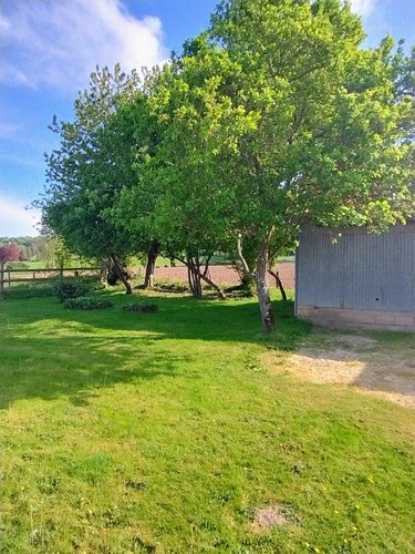 Maison a vendre Viessoix 14410 Calvados 73 m2 4 pièces 128700 euros