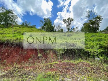 Terrain a batir a vendre Rivière-Salée 97215 Martinique 614 m2  67000 euros