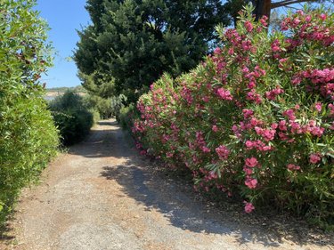 Maison a vendre Saint-Florent 20217 Haute-Corse 209 m2 8 pièces 758900 euros