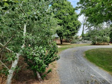 Terrain a batir a vendre Saint-Jean-de-Monts 85160 Vendée 465 m2  68840 euros