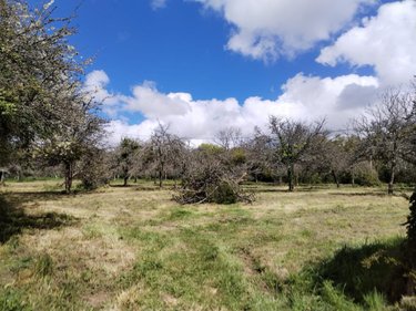Maison a vendre Bricquebec-en-Cotentin 50260 Manche 160 m2 8 pièces 177500 euros