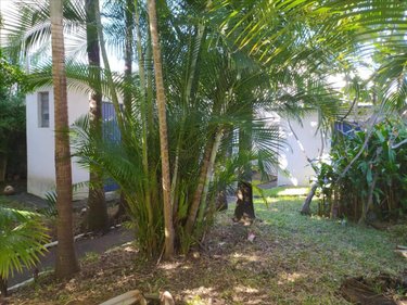 Fonds et murs commerciaux a vendre Saint-Joseph 97480 Réunion 280 m2  540000 euros