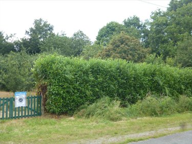Terrain a batir a vendre Mayenne 53100 Mayenne 2066 m2  58000 euros