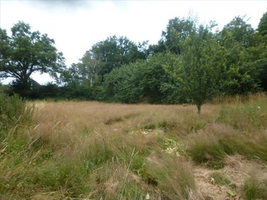 Terrain a batir a vendre Mayenne 53100 Mayenne 2066 m2  58000 euros
