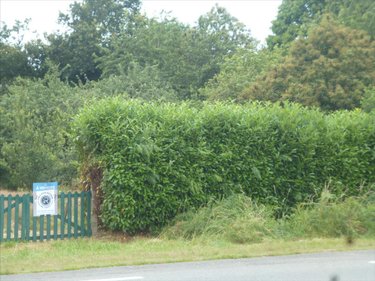 Terrain a batir a vendre Mayenne 53100 Mayenne 2066 m2  58000 euros
