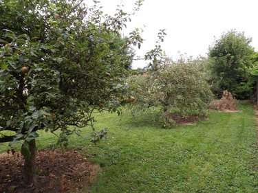 Terrain a batir a vendre Labeuvrière 62122 Pas-de-Calais 500 m2  49500 euros