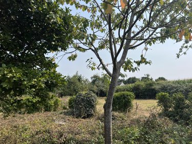 Maison a vendre Les Forges 56120 Morbihan 62 m2 4 pièces 89260 euros