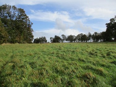 Terrains de loisirs bois etangs a vendre Carhaix-Plouguer 29270 Finistère 9840 m2  95400 euros