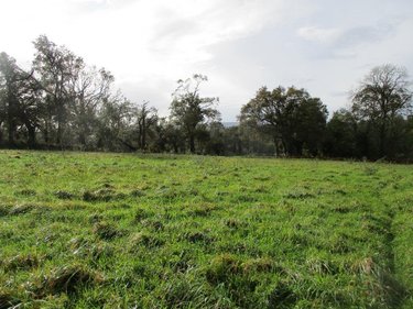 Terrains de loisirs bois etangs a vendre Carhaix-Plouguer 29270 Finistère 9840 m2  95400 euros