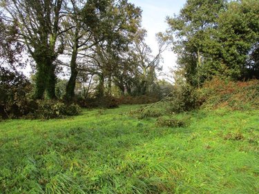 Terrains de loisirs bois etangs a vendre Carhaix-Plouguer 29270 Finistère 9840 m2  95400 euros