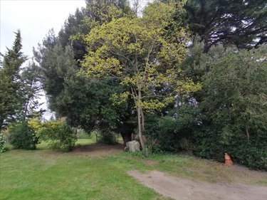 Maison a vendre Descartes 37160 Indre-et-Loire 196 m2 8 pièces 199920 euros