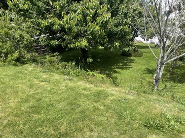 Terrain a batir a vendre Hennebont 56700 Morbihan 260 m2  52600 euros
