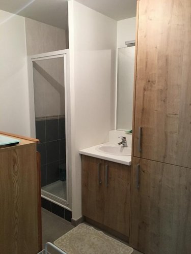 Location appartement Rennes 35000 Ille-et-Vilaine 41 m2 2 pièces 711 euros