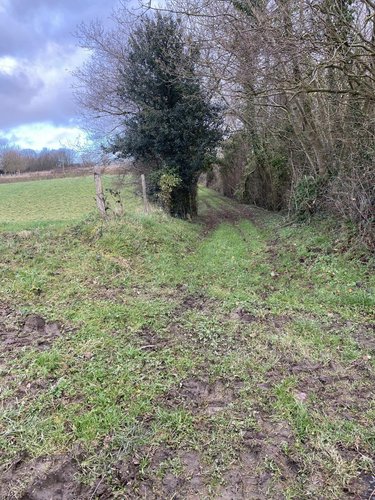 Terrain a batir a vendre La Ferrière-Harang 14350 Calvados 4013 m2  13000 euros