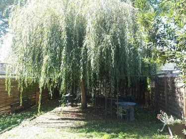 Maison a vendre Richelieu 37120 Indre-et-Loire 90 m2 5 pièces 115280 euros