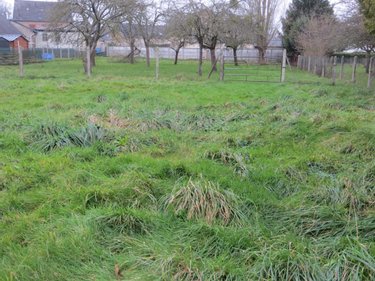 Terrain a batir a vendre Vire-Normandie 14500 Calvados 1700 m2  33000 euros