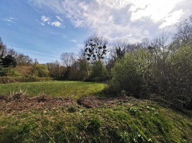 Terrains de loisirs bois etangs a vendre Trégonneau 22200 Côtes-d'Armor 23203 m2  15000 euros
