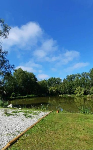 Divers a vendre Crédin 56580 Morbihan 7880 m2  53000 euros