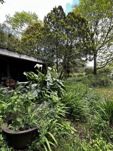 Maison a vendre Arradon 56610 Morbihan 198 m2  651640 euros