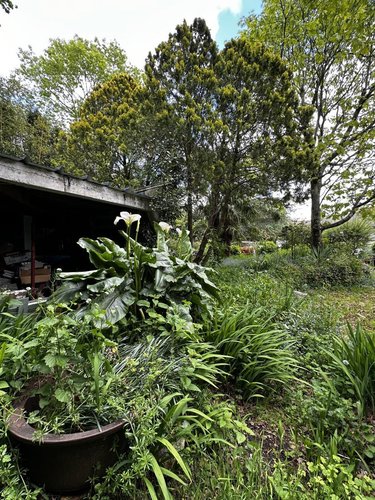 Maison a vendre Arradon 56610 Morbihan 198 m2  723740 euros